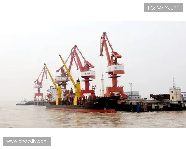 盐城大丰港战队全力冲刺打造国内一流水上竞技平台推动地区体育产业腾飞